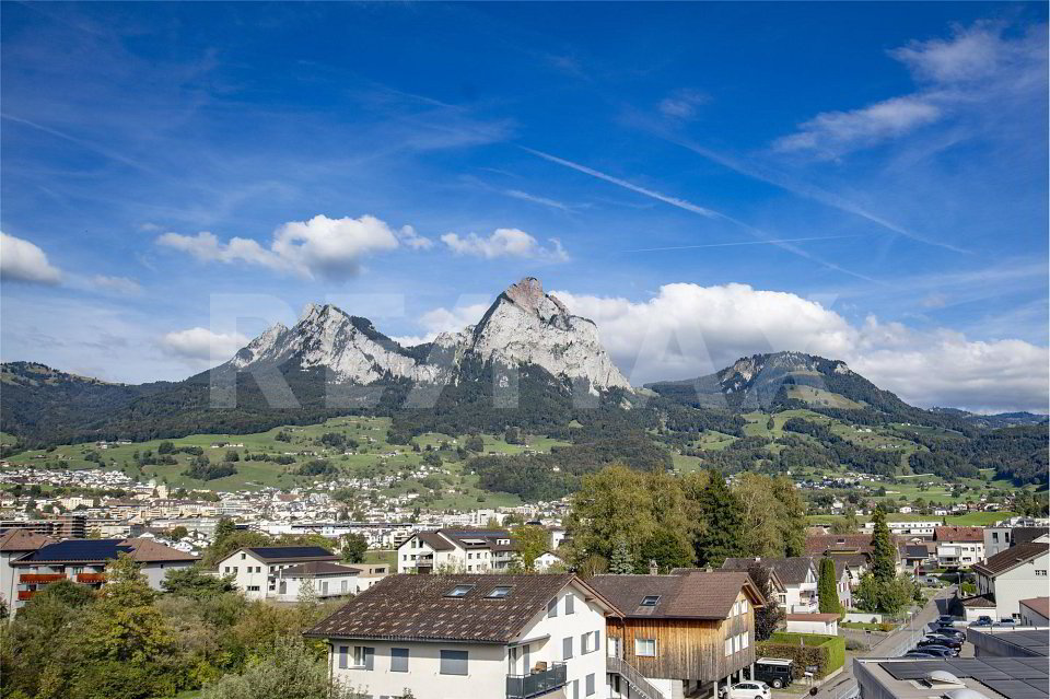 14 rooms House to buy in Ibach - image 1/13