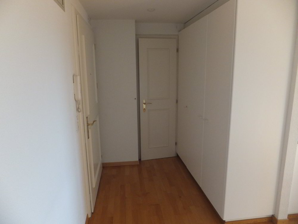 1 rooms Apartment for rent in Zürich - image 1/7