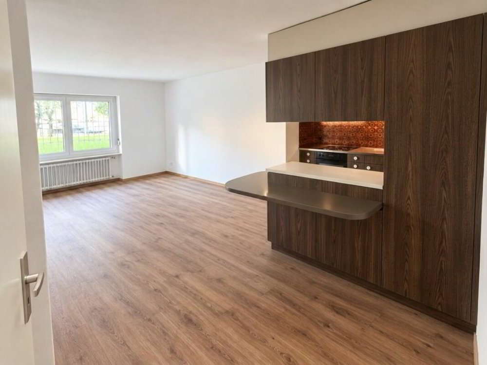 Wohnung – Goldau - Ansicht 3