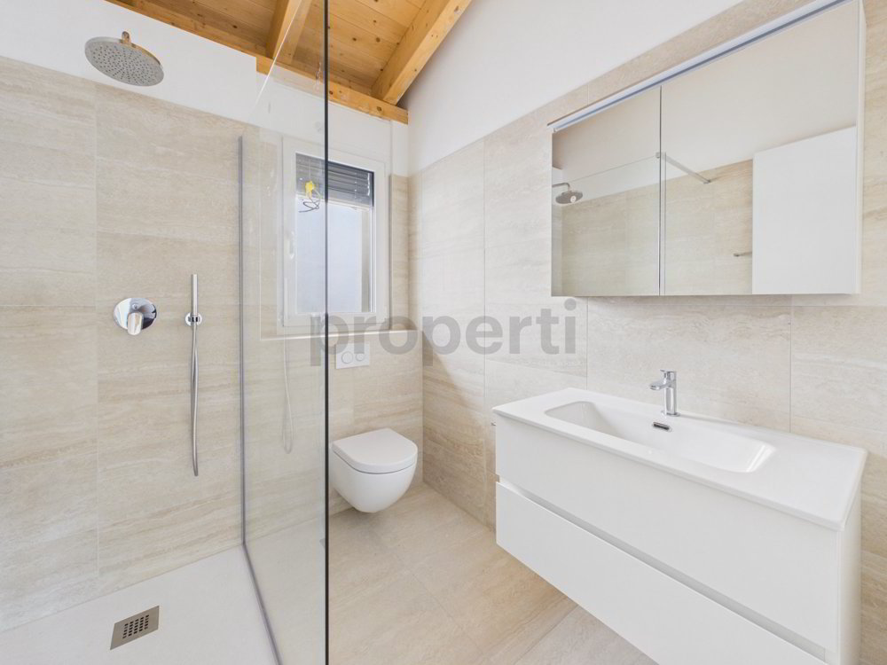 Wohnung – Brissago - Mehr