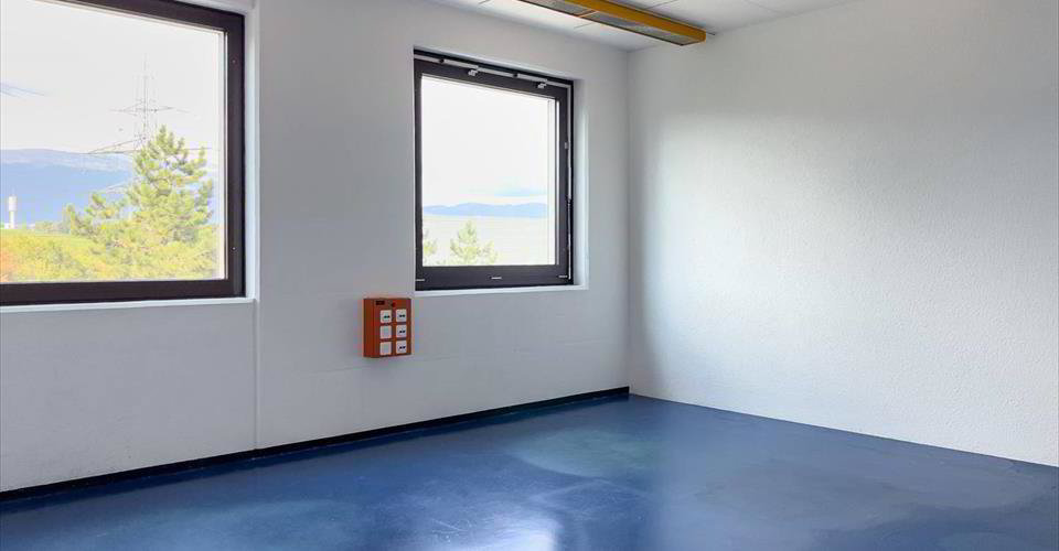 Laboratoire, production, atelier de 420 m² à louer à Satigny - Ansicht 4