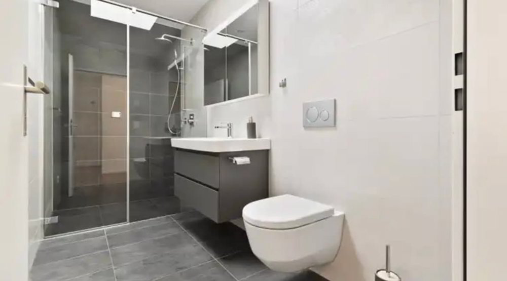 4.5 rooms Apartment for rent in Gwatt (Thun) - image 1/13
