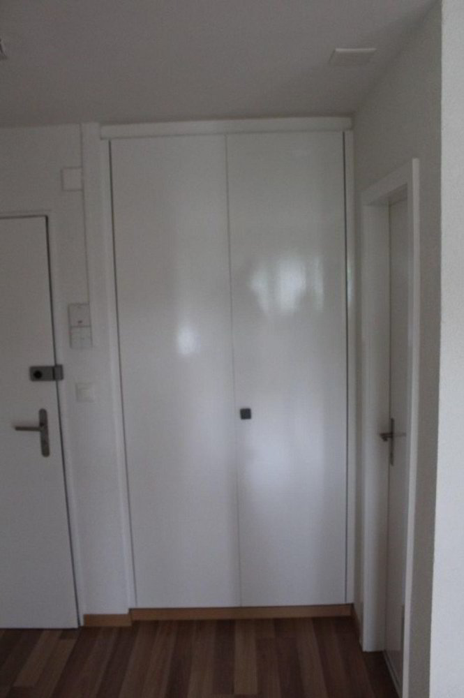 2 rooms Apartment for rent in Rudolfstetten - image 1/8