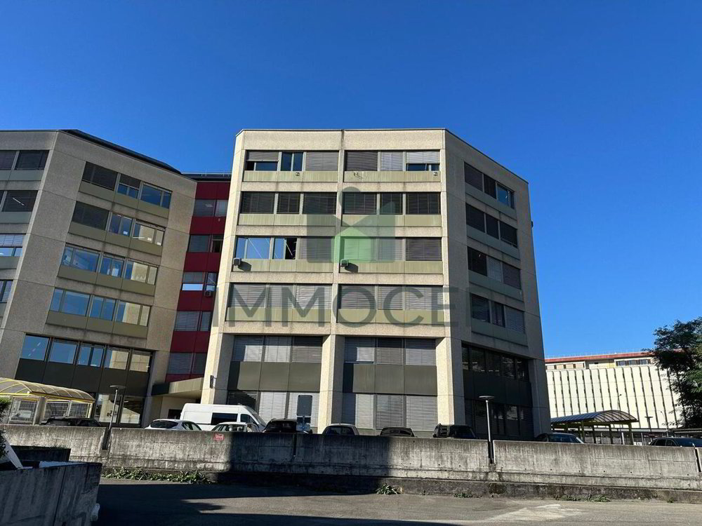 null rooms Office & Commercial to buy in Carouge GE - image 1/8