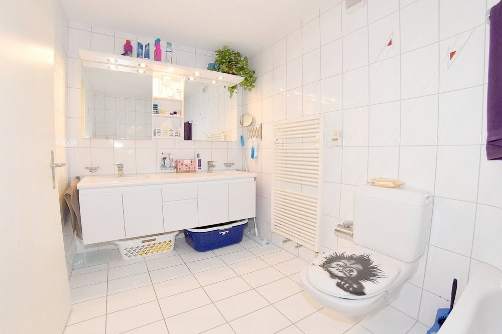 5 rooms Apartment for rent in Baldingen - image 1/13
