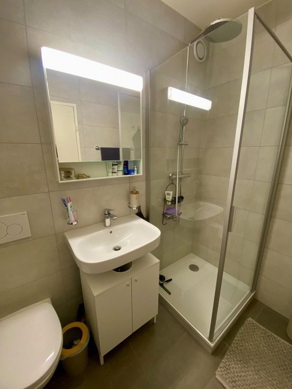 Appartamento di 4 locali in affitto a Petit-Lancy - immagine 1/6