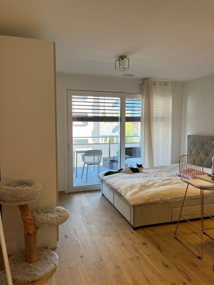 1 Zimmer Wohnung zu vermieten in Sitten - Bild 1/10