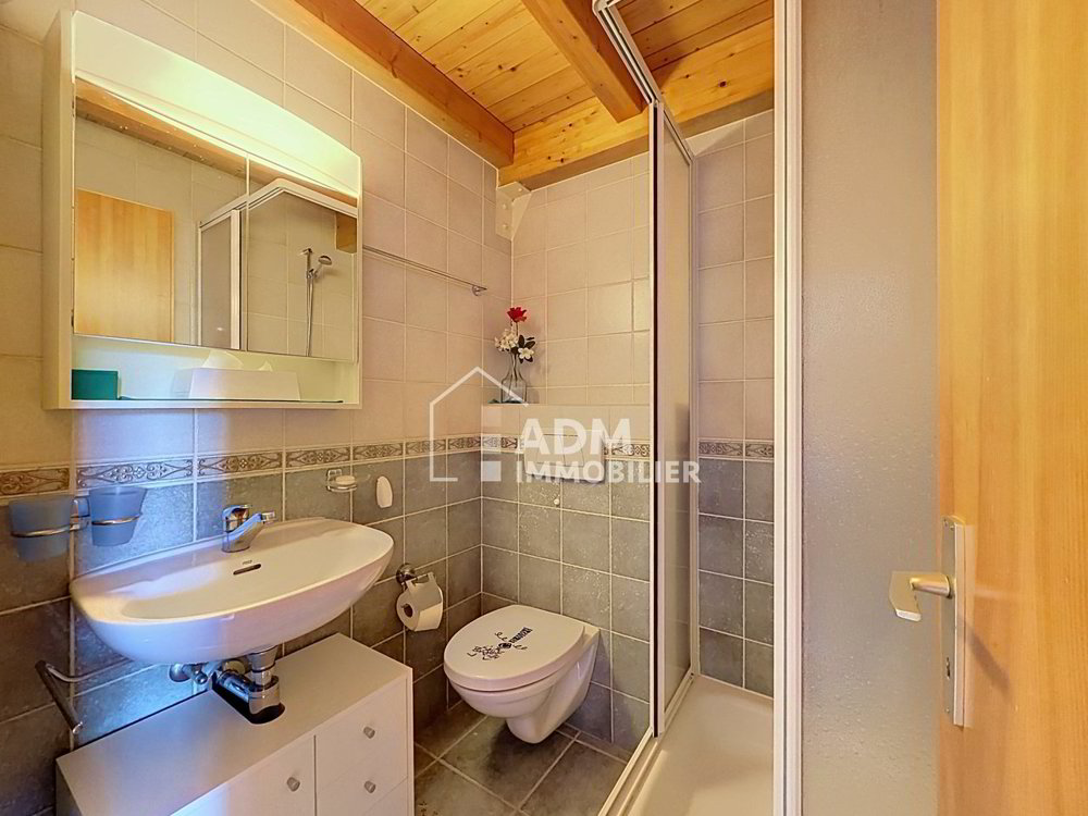 1 rooms Apartment for rent in Ovronnaz - image 1/13
