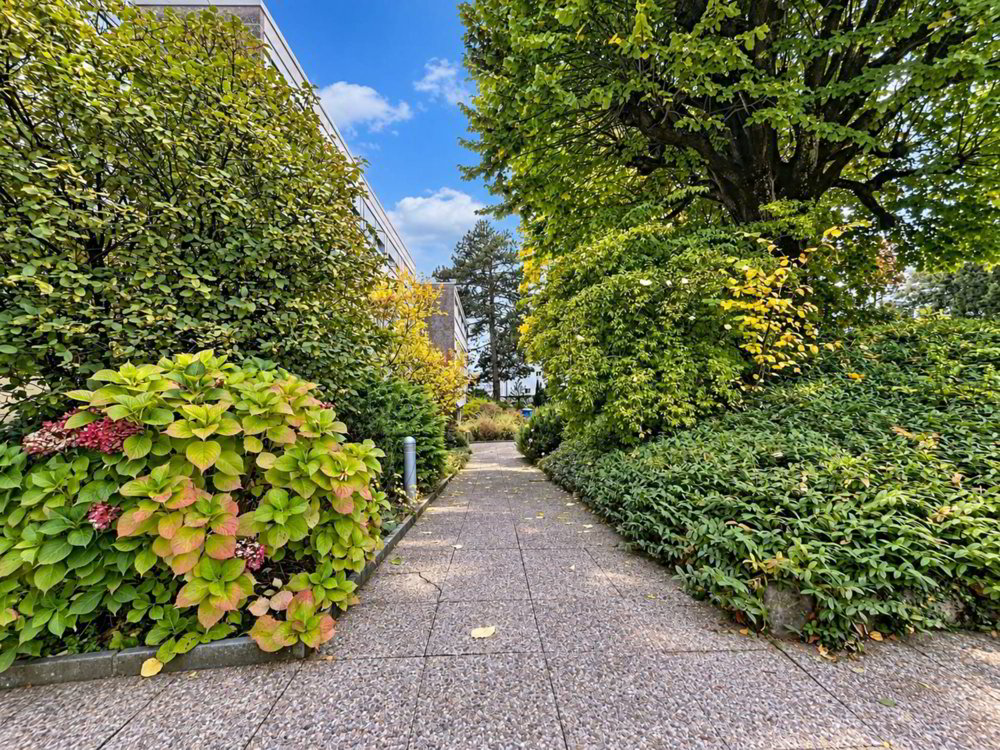 Wohnung – La Tour-de-Peilz - Ansicht 5