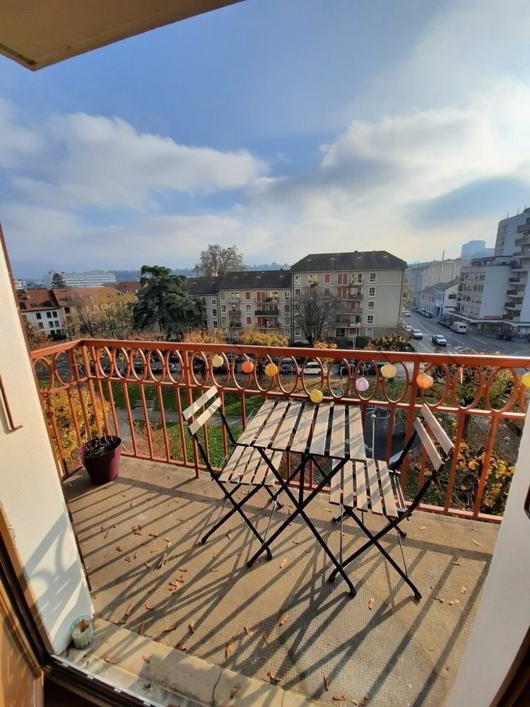 2.5 rooms Apartment for rent in Carouge GE - image 1/6