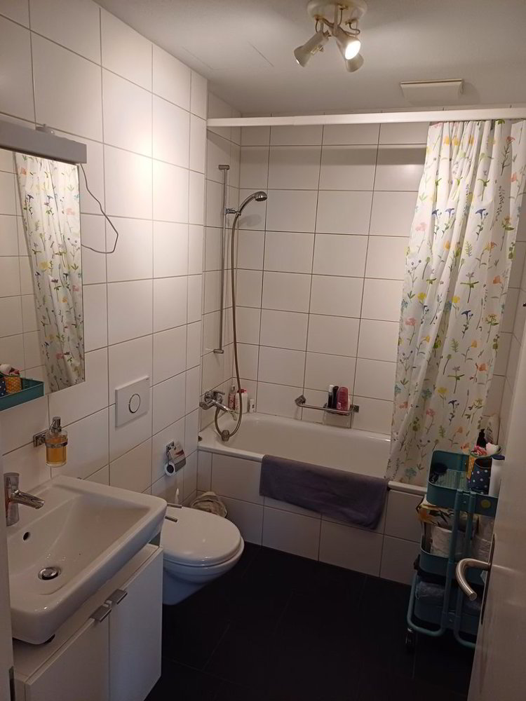 Appartement 2 pièces à louer à Coira - image 1/5