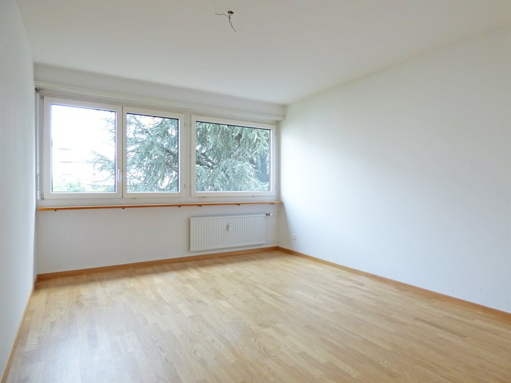 Wohnung – Rapperswil SG - Mehr