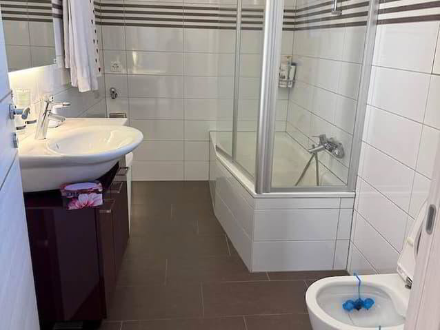 3.5 rooms Apartment for rent in Schmitten FR - image 1/7