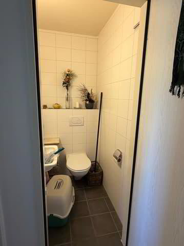 3 Zimmer Wohnung zu vermieten in Palézieux - Bild 1/9