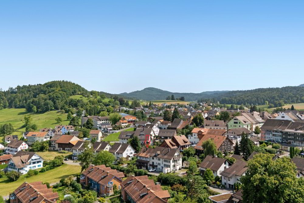 9.5 rooms House to buy in Winterthur - image 1/16