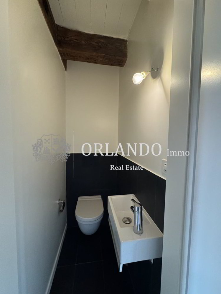 3 rooms Apartment for rent in Carouge GE - image 1/3