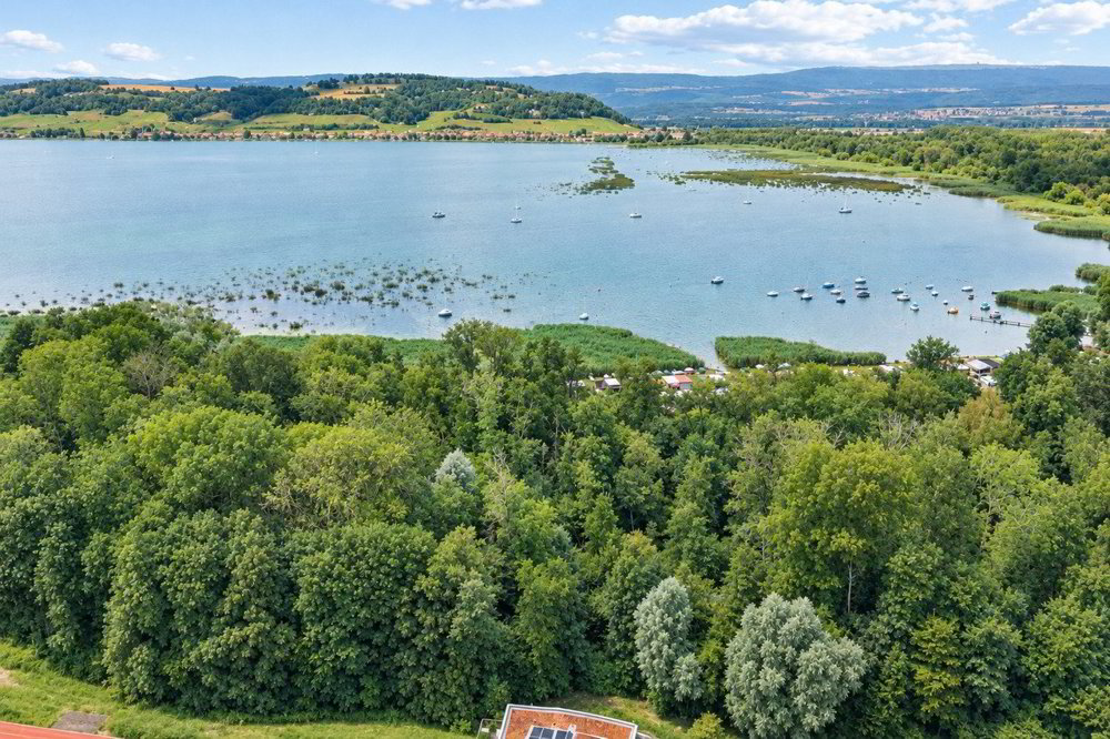 5 rooms Apartment to buy in Murten - image 1/12