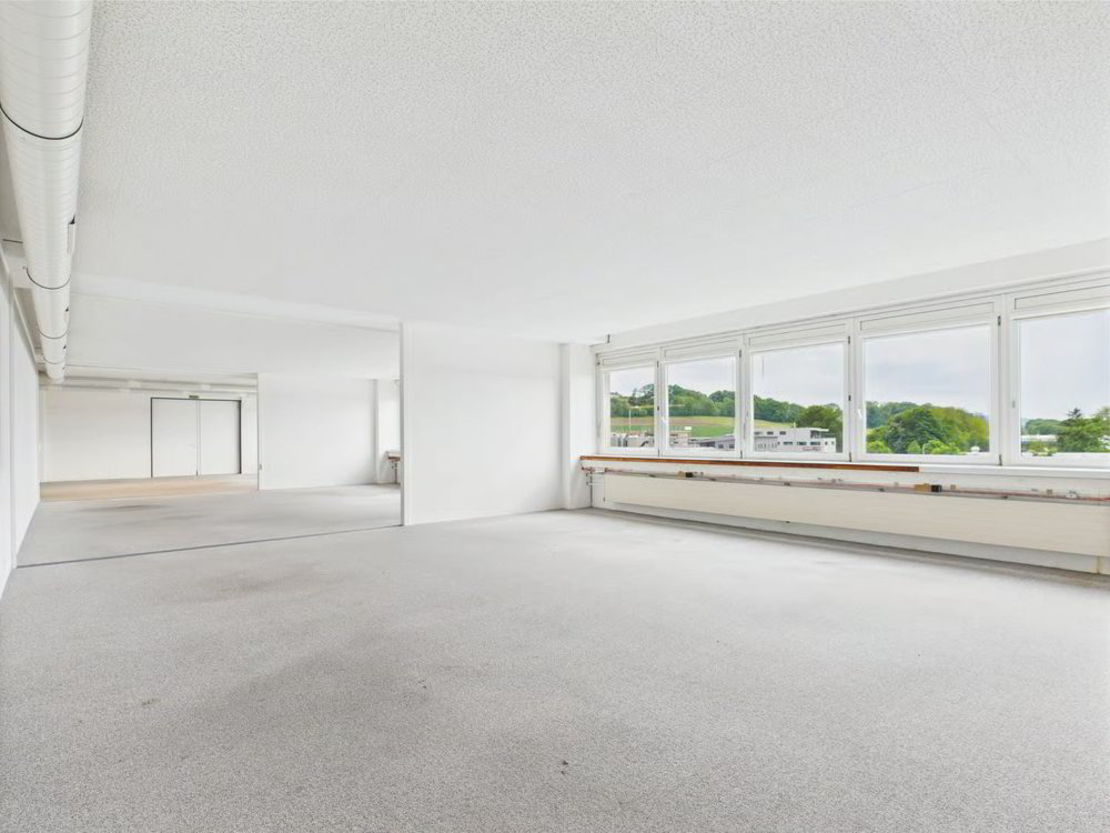 null rooms Office & Commercial for rent in Murten - image 1/13