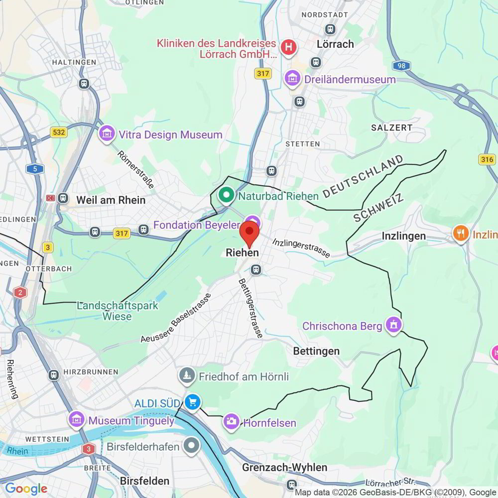 Appartamento di 2 locali in affitto a Riehen - immagine 1/16