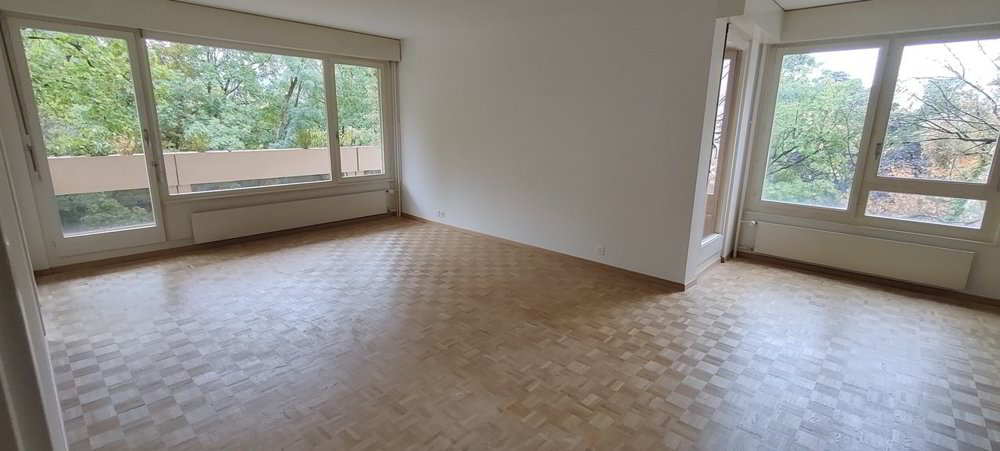 null rooms Apartment for rent in Le Grand-Saconnex - image 1/1