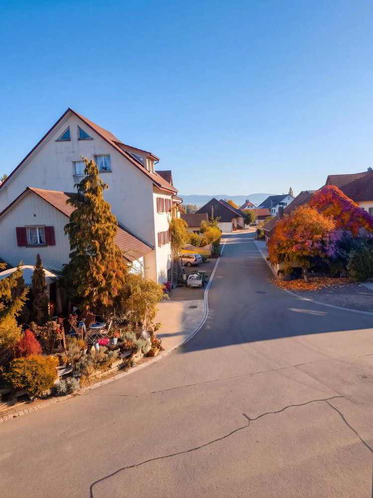 4.5 rooms Apartment to buy in Trasadingen - image 1/10