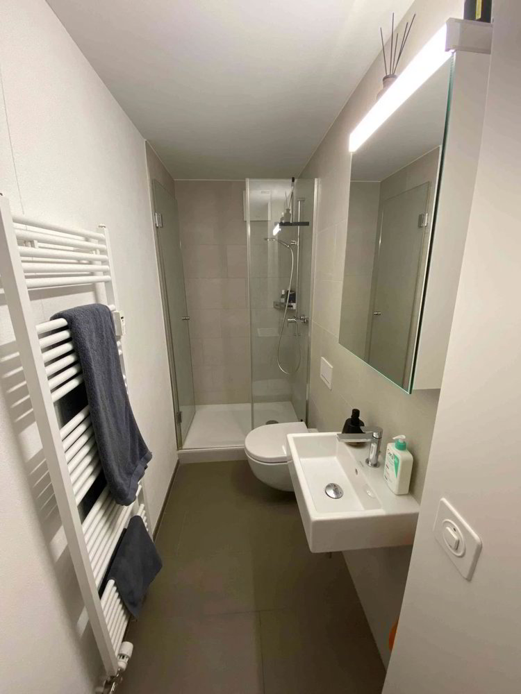 3.5 rooms Apartment for rent in Volketswil - image 1/12