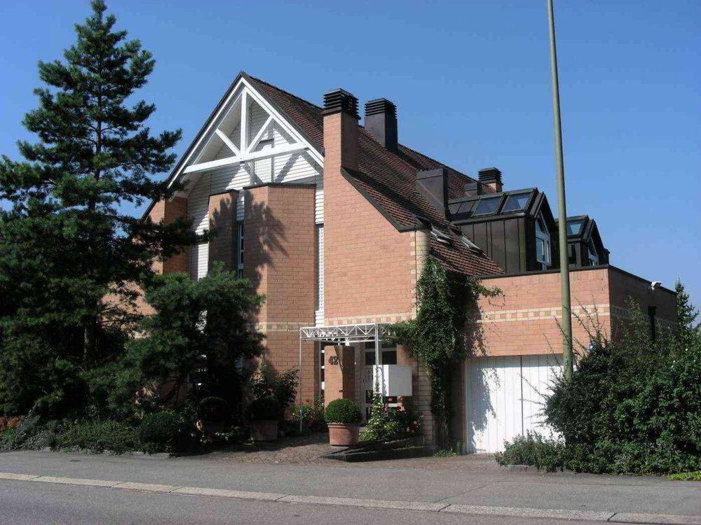 2.5 rooms Apartment for rent in Zollikon - image 1/10