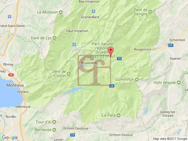 4 rooms Apartment to buy in Château-d'Oex - image 1/11
