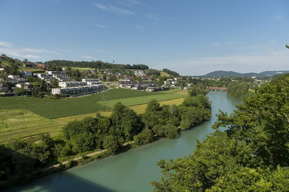 2.5 rooms Apartment for rent in Herrenschwanden - image 1/10