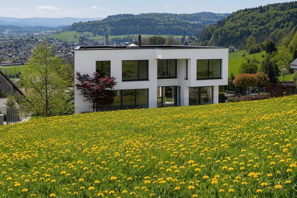 Maison null pièces à acheter à Dintikon - image 1/13