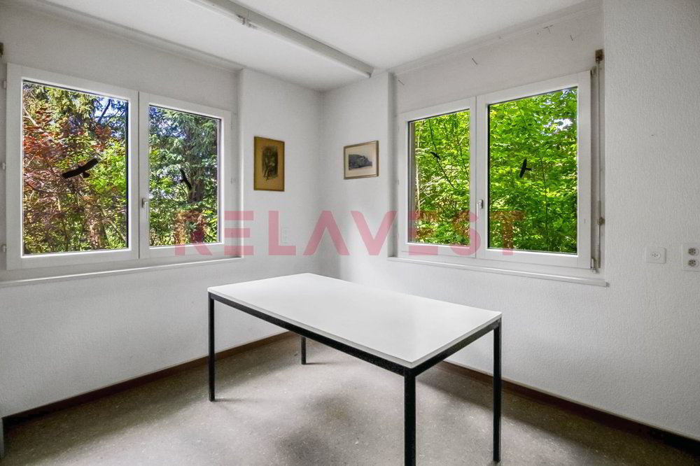 4 rooms Office & Commercial to buy in Laupen BE - image 1/13