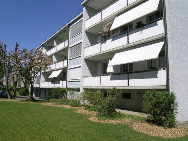 Appartamento di 1 locali in affitto a Aarau - immagine 1/1