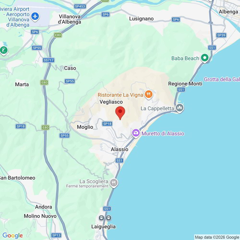 null rooms Land to buy in Veytaux - image 1/11