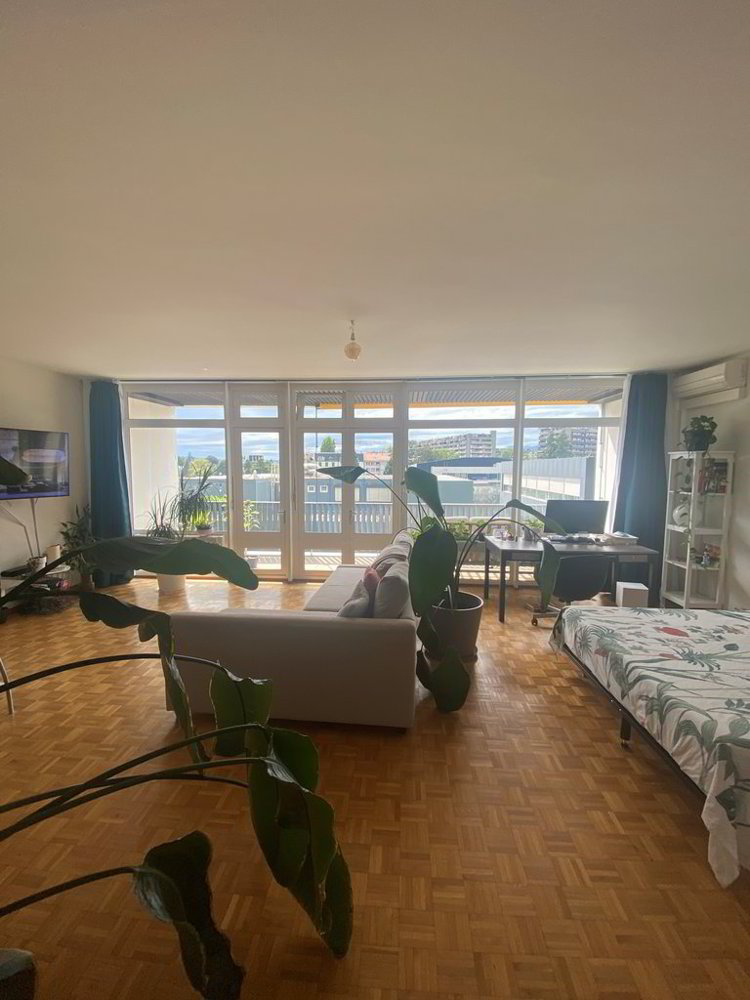 1 rooms Apartment for rent in Ginevra - image 1/4