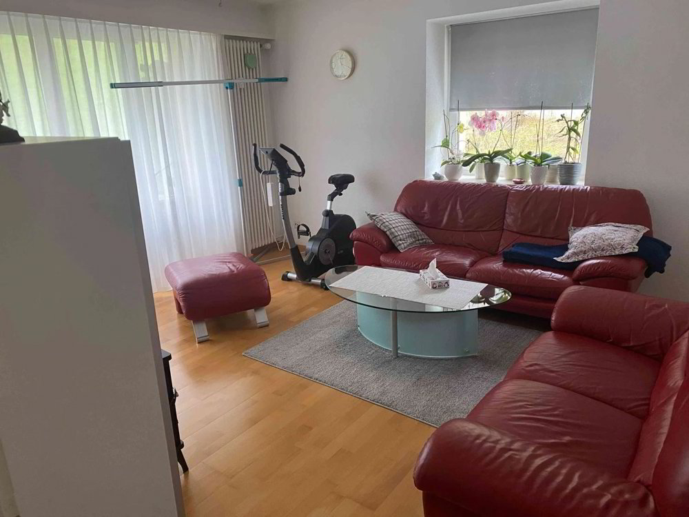 4.5 Zimmer Wohnung zum verkaufen in Waldenburg - Bild 1/11