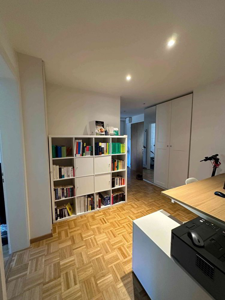 2.5 rooms Apartment for rent in Zürich - image 1/13