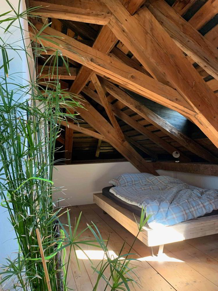 1 Zimmer Wohnung zu vermieten in Schluein - Bild 1/8