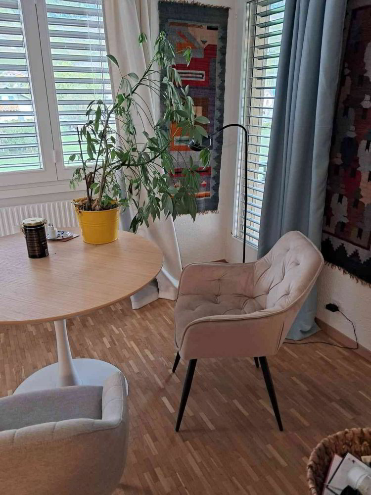 1 rooms Apartment for rent in Aigle - image 1/7