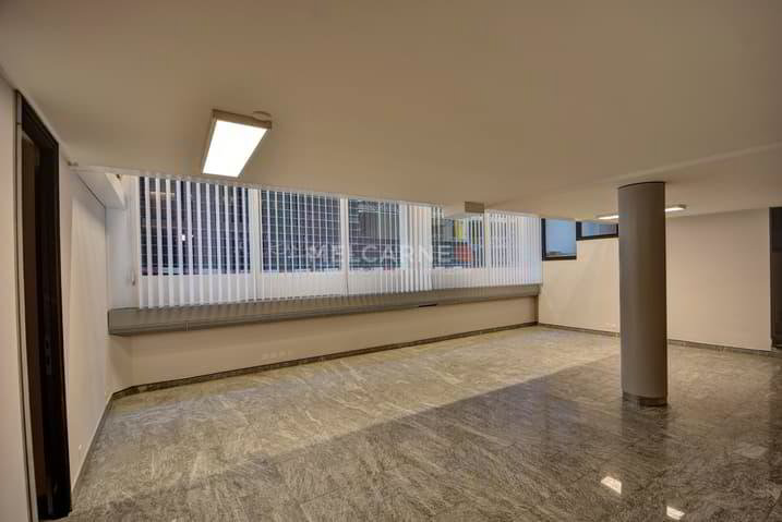 Bureau & Commerce null pièces à louer à Genève - image 1/13