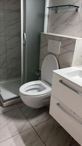 Appartamento di 3 locali in affitto a Coppet - immagine 1/7