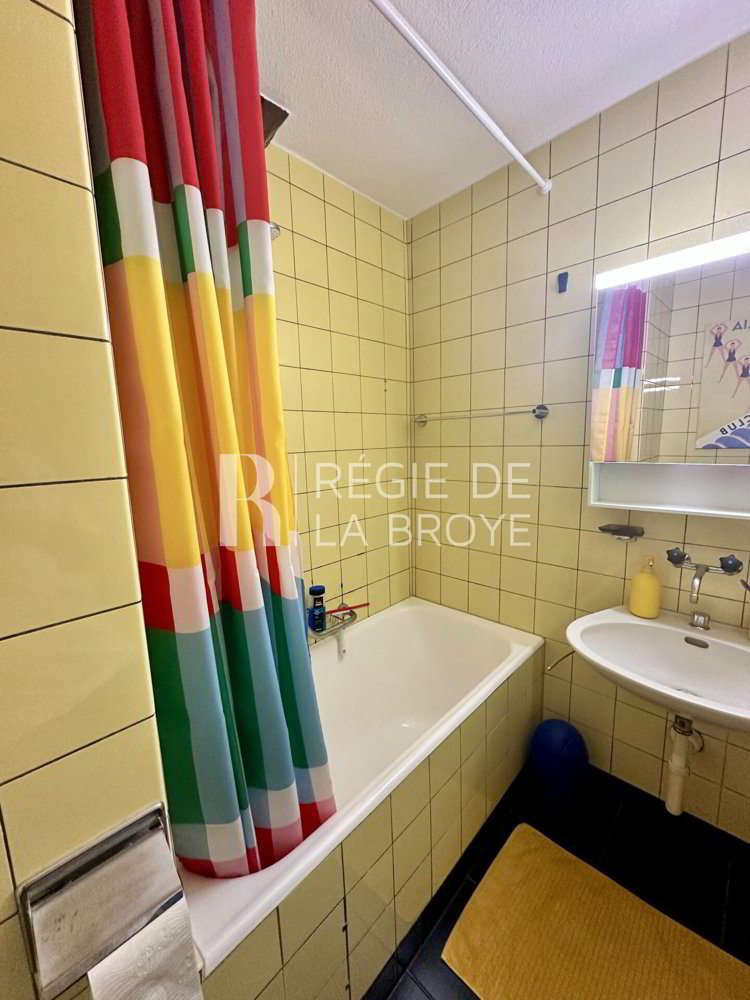 1.5 rooms Apartment for rent in Estavayer-le-Lac - image 1/4