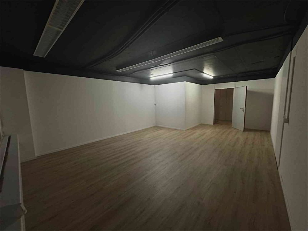 Ufficio & Commercio di 3 locali in affitto a Lucerne - immagine 1/9