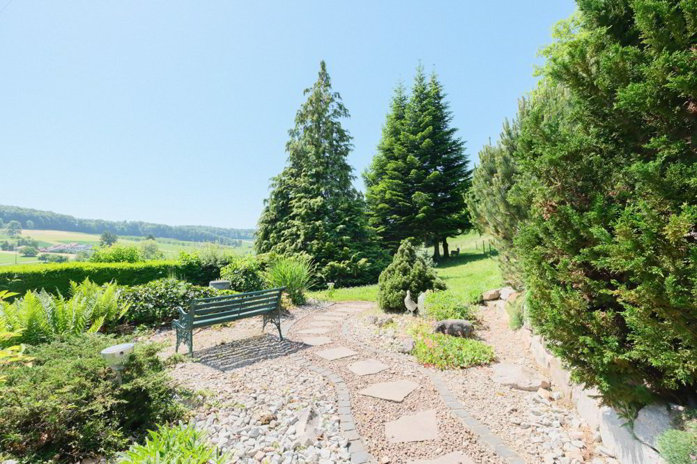 5.5 rooms House to buy in Hochwald - image 1/13