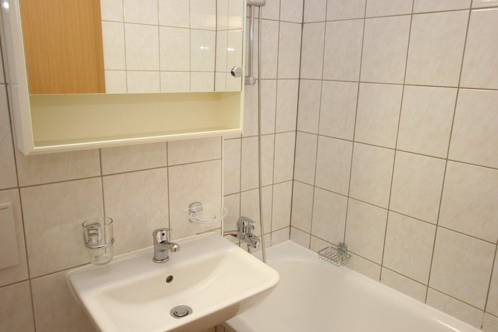1 rooms Apartment for rent in Ginevra - image 1/4