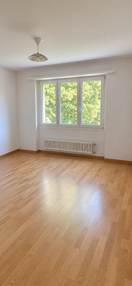 5 rooms Apartment for rent in Herzogenbuchsee - image 1/9
