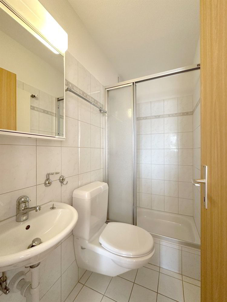 Appartement 4 pièces à louer à Birmensdorf ZH - image 1/13