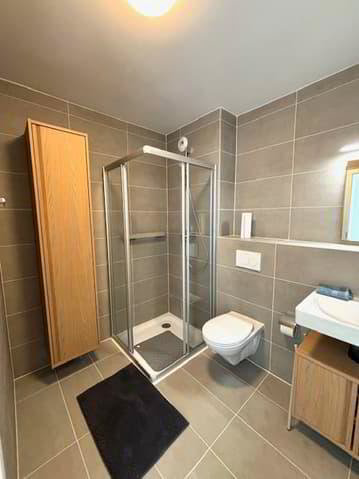 1 rooms Apartment for rent in Chavannes-près-Renens - image 1/4