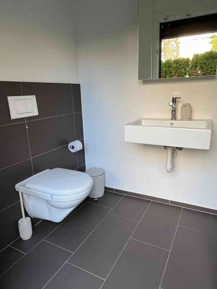 Casa di 4.5 locali in affitto a Wallisellen - immagine 1/13