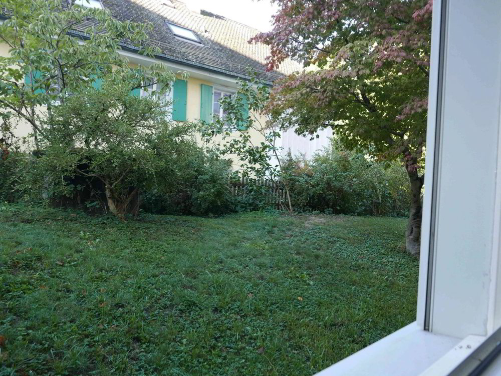 2.5 rooms Apartment for rent in Zürich - image 1/12