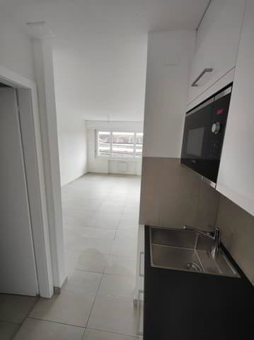 1 rooms Apartment for rent in La Neuveville - image 1/5